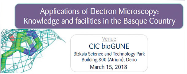 Applications of Electron Microscopy: Knowledge and facilities in the Basque Country